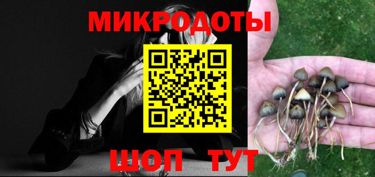 Псилоцибиновые грибы прущие грибы Сызрань